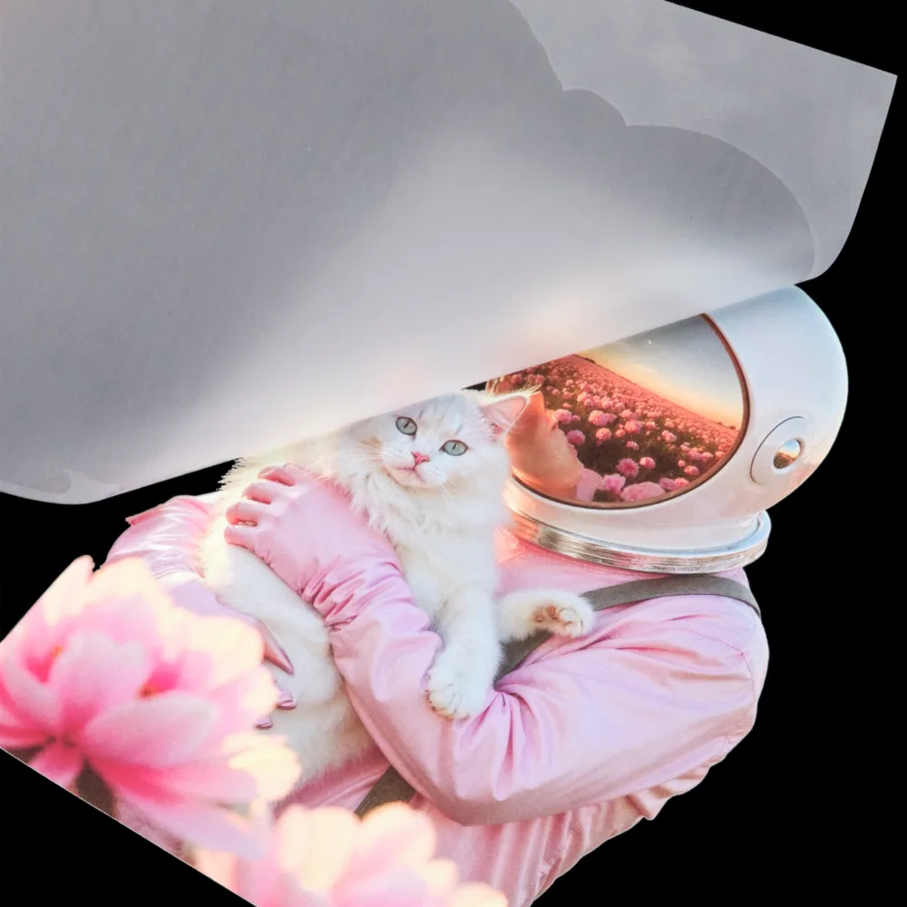 Transfert DTF personnalisé